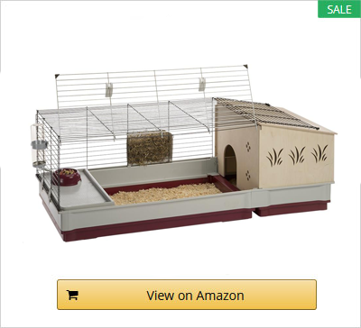 Guinea Pig Cage -5