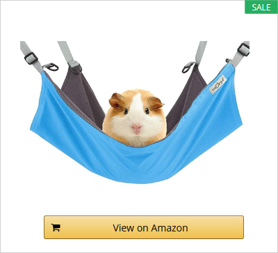 Guinea Pig Hammock -1