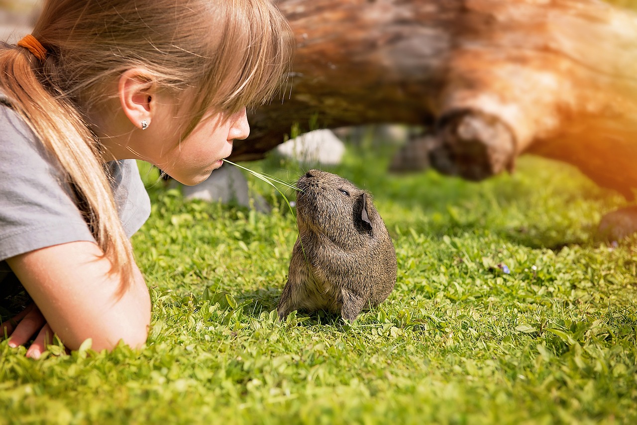 Motherhood and Guinea Pigs: A Perfect Match for Family Love